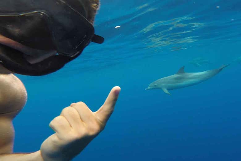 Snorkel en São Jorge