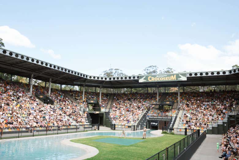 Excursión al Australia Zoo