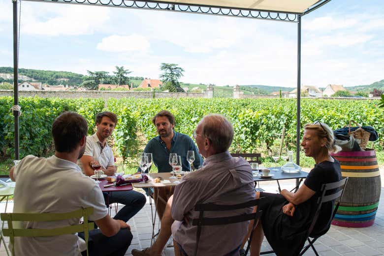 Tour del vino de Borgoña