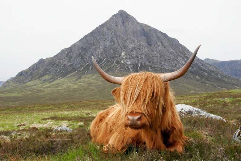 Excursión privada desde Edimburgo
