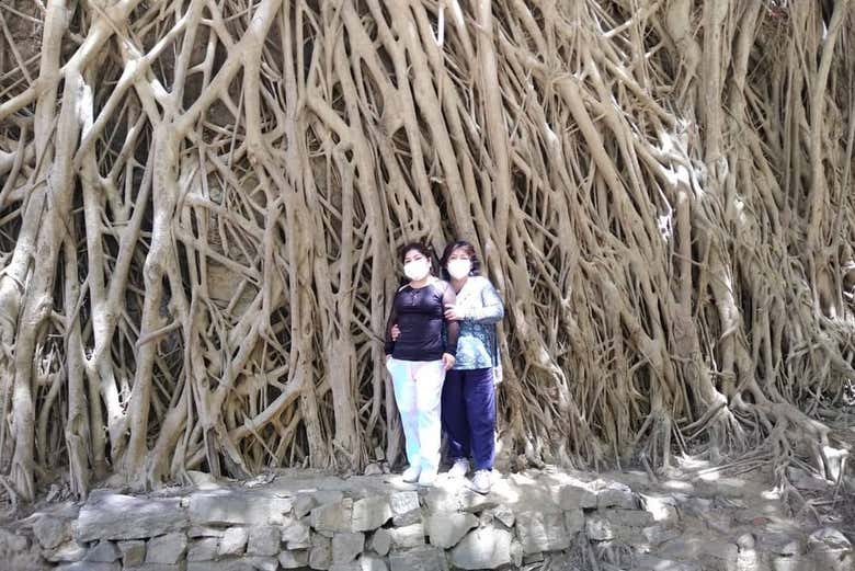 Excursión a Cascas