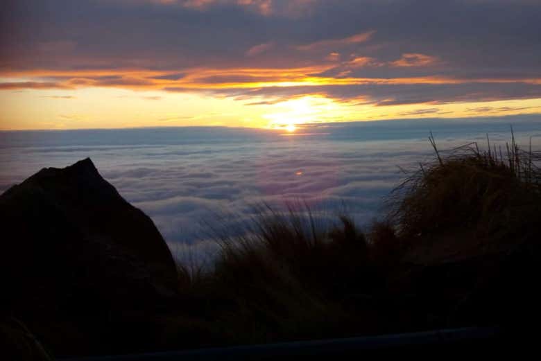 Excursión a las Sierras de Comechingones