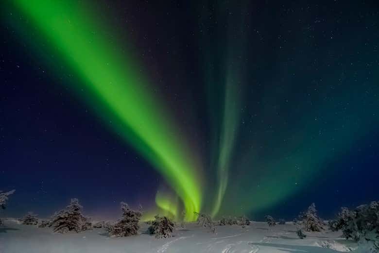 Tour de la aurora boreal