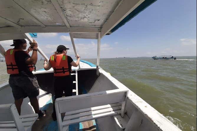 Excursión a Puerto El Morro con avistamiento de delfines