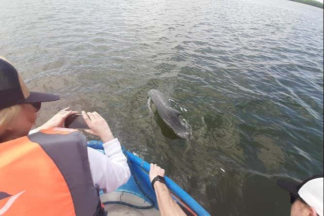 Excursión a Puerto El Morro con avistamiento de delfines - Galería 2