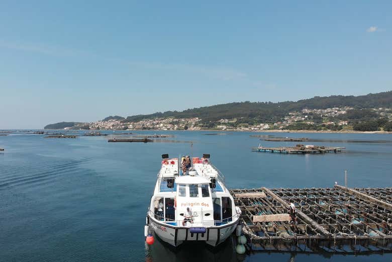 Paseo en barco por la ría + Degustación de mejillones