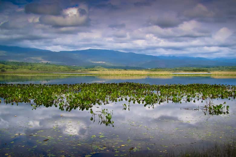 Excursión al Pantanal de Marimbus y al río Roncador