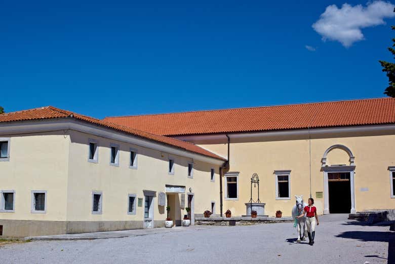 Excursión a Lipica y cuevas de Skocjan