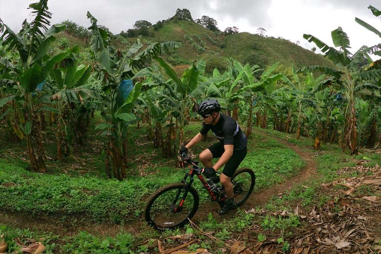 Tour en bicicleta por las montañas de Salento