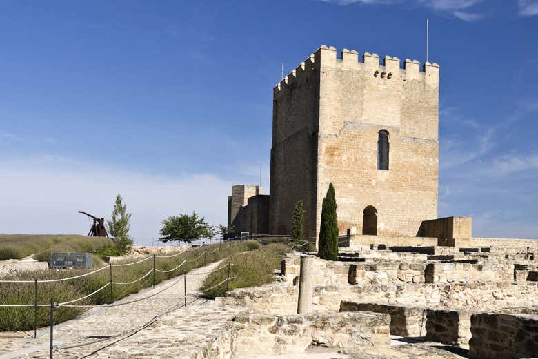 Visita guiada por la Fortaleza de la Mota