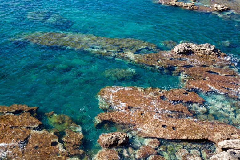 Free tour por Las Canteras
