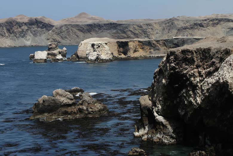 Excursión a la bahía de San Fernando + Sandboarding en Nazca