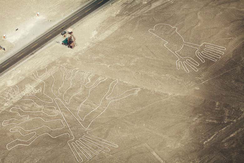 Tour de Nazca al completo con entradas