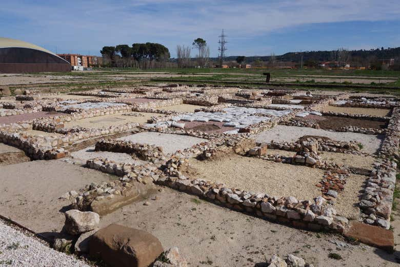 Visita guiada por el yacimiento de Complutum + Museo Antiquarium