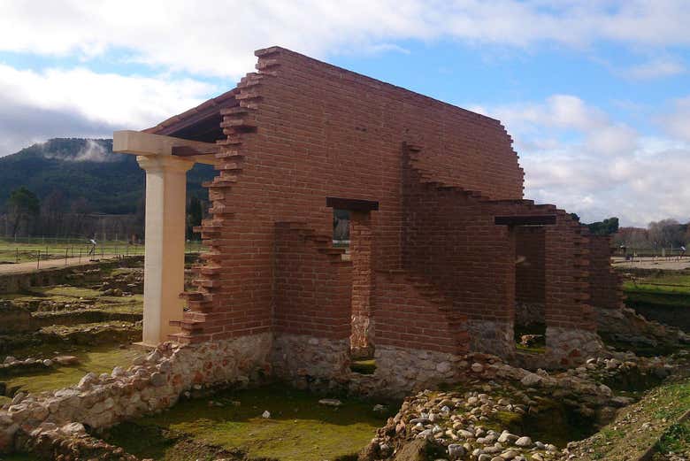 Visita guiada por el yacimiento de Complutum + Museo Antiquarium