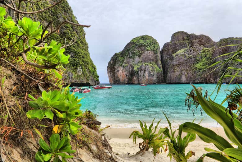 Excursión a las islas Phi Phi en lancha rápida
