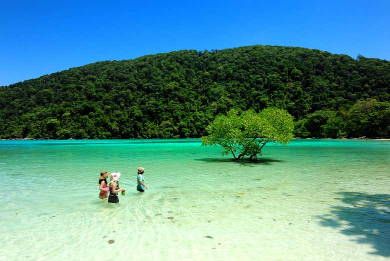 Excursión a las islas Surin en lancha rápida