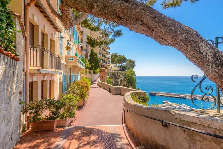 Excursión privada desde Cannes