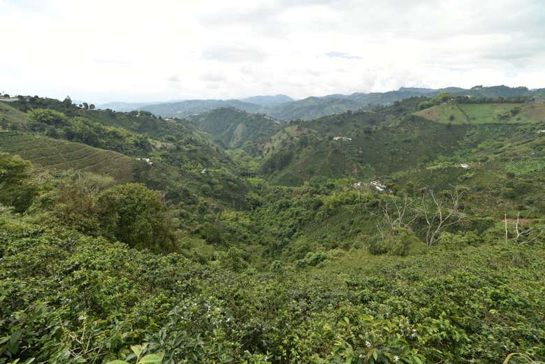 Vuelo en parapente por el Quindío