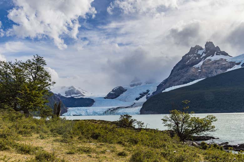 Excursión al Parque Nacional de los Glaciares en barco - Galería 2