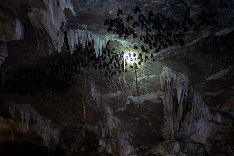 Excursión al Parque Geoforestal Kilim Karst