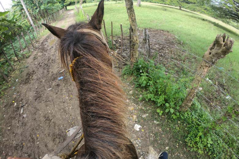 Paseo a caballo por Jamao al Norte