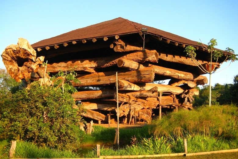 Excursión a Puerto Iguazú