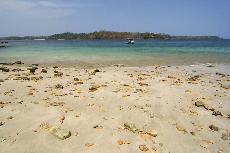 Excursión a la isla Contadora - Galería 2