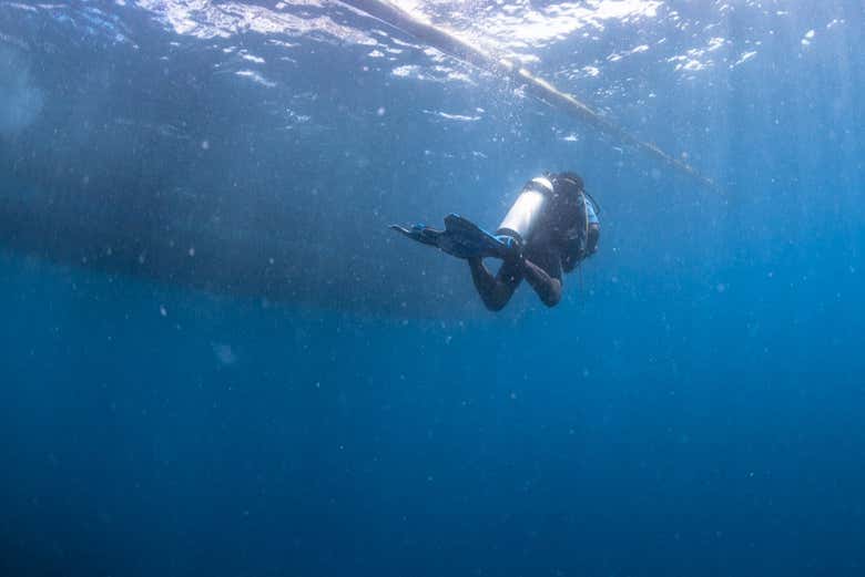 Bautismo de buceo en Moalboal