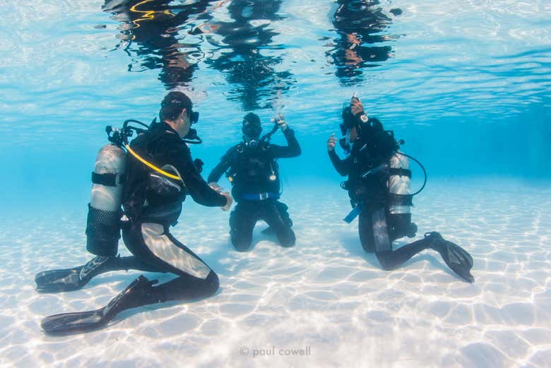 Bautismo de buceo en Moalboal