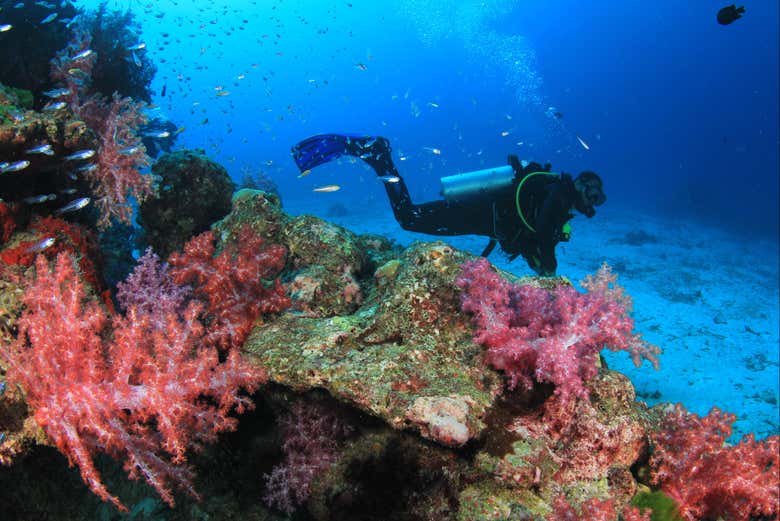 Curso de buceo PADI Open Water