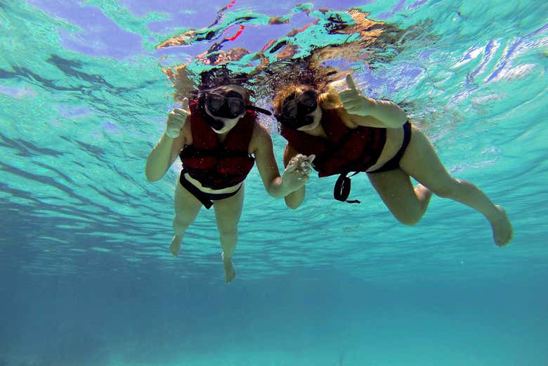 Snorkel en Puerto Morelos