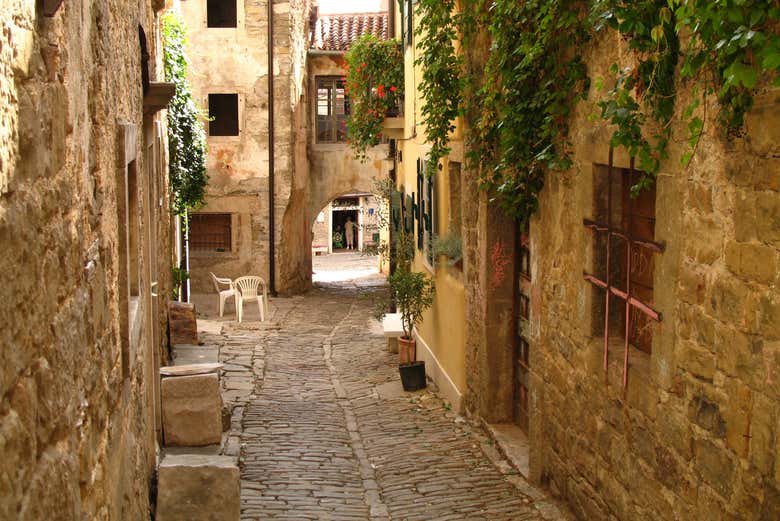 Tour gastronómico por Istria