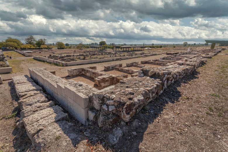 Excursión a Pella y Vergina