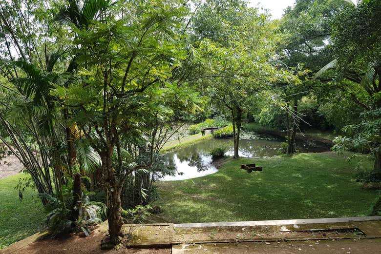 Excursión privada a Kalutara y finca Lunuganga