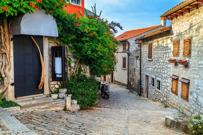 Excursión a Pula y Rovinj
