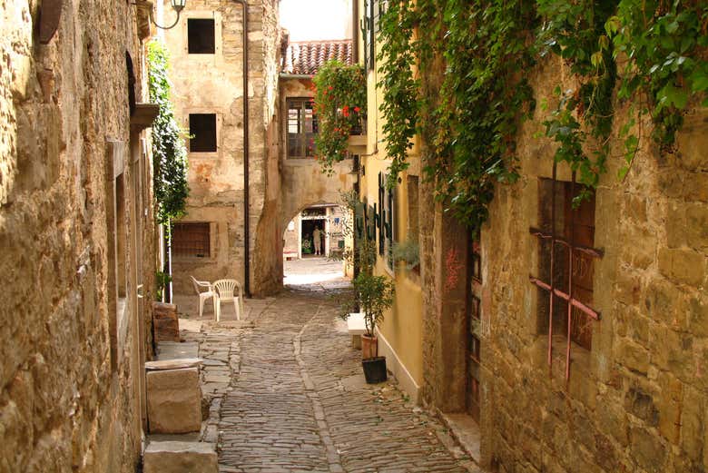 Tour gastronómico por Istria - Galería 2