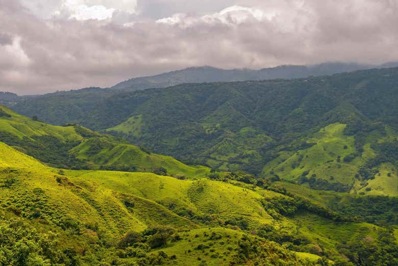Excursión a los puentes colgantes de Monteverde