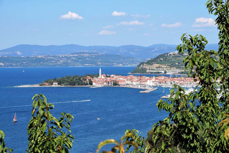 Tour por Piran, Portorož e Izola
