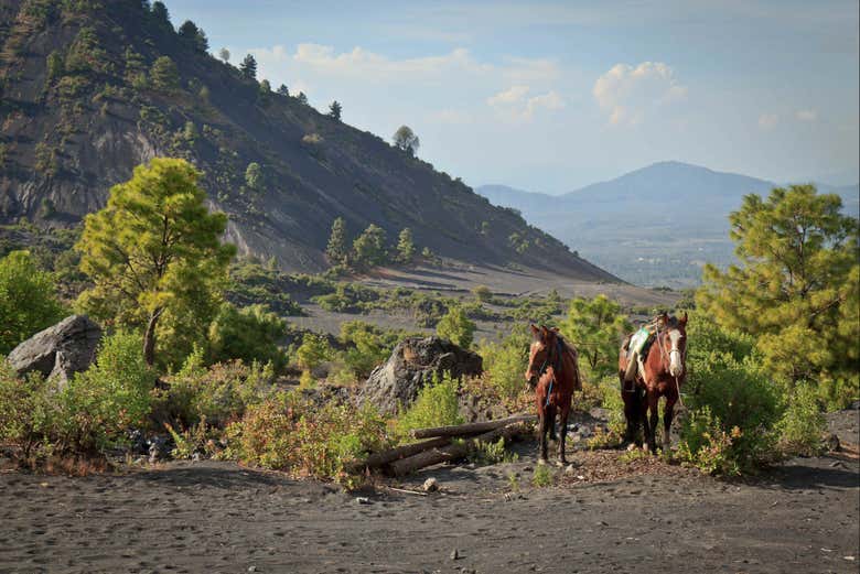 Excursión privada al volcán Paricutín y Angahuan
