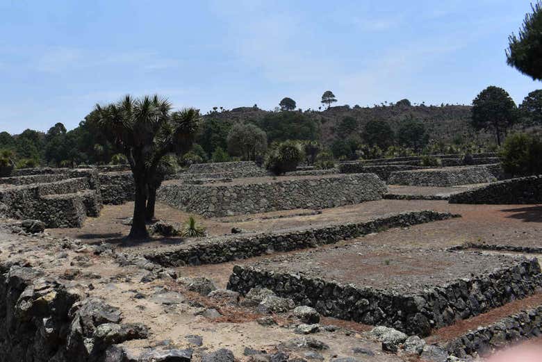 Excursión a Cantona y laguna Alchichica - Galería 2