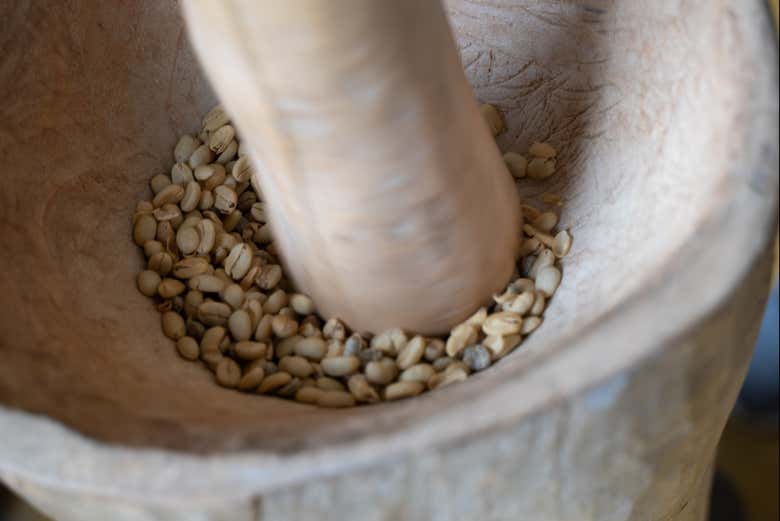 Tour por las plantaciones de café del Quindío - Galería 1