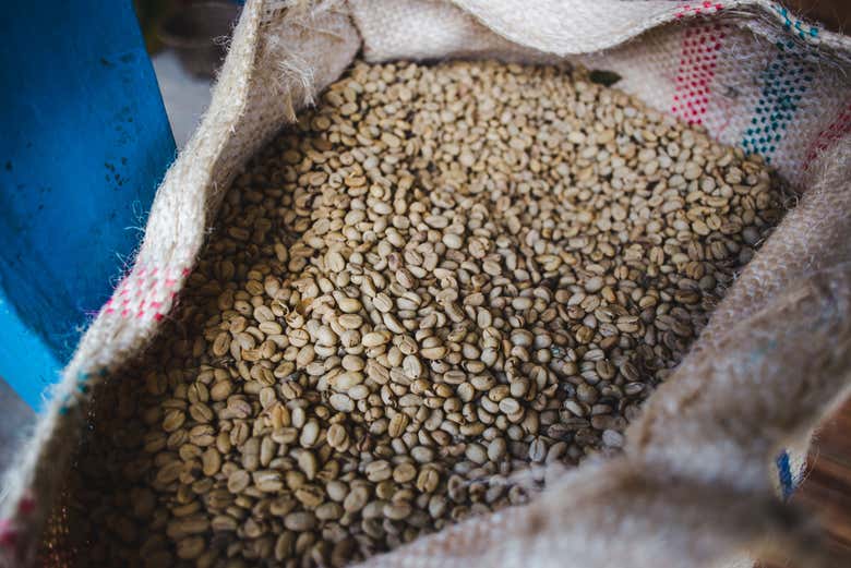 Tour por las plantaciones de café del Quindío - Galería 2