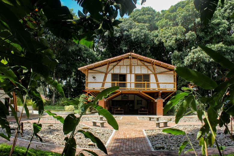 Tour por el Jardín Botánico del Quindío