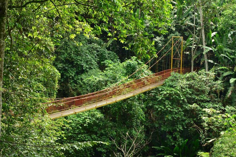 Tour por el Jardín Botánico del Quindío