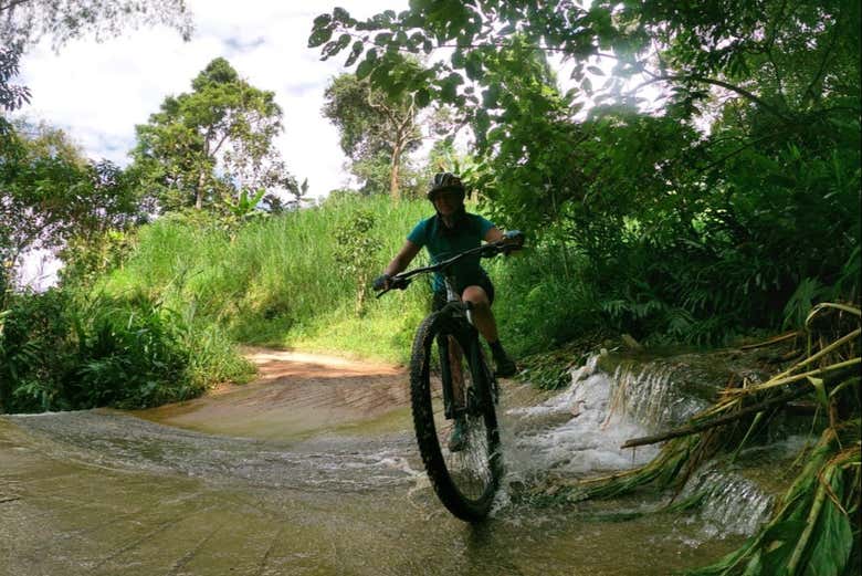 Tour del café en bicicleta