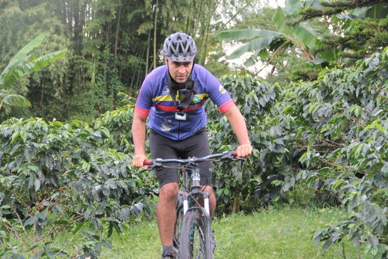 Tour del café en bicicleta
