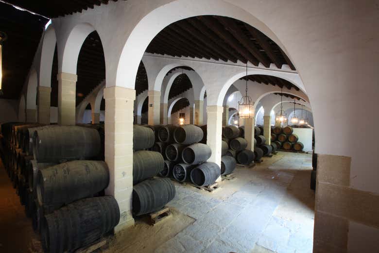 Visita a las bodegas Tío Pepe
