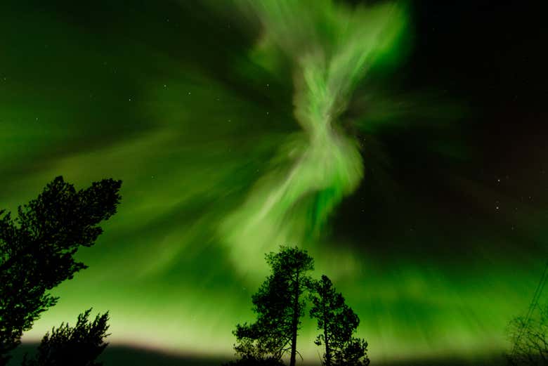 Paseo en moto de nieve bajo la aurora boreal
