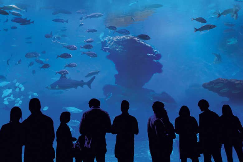 Entrada a Palma Aquarium
